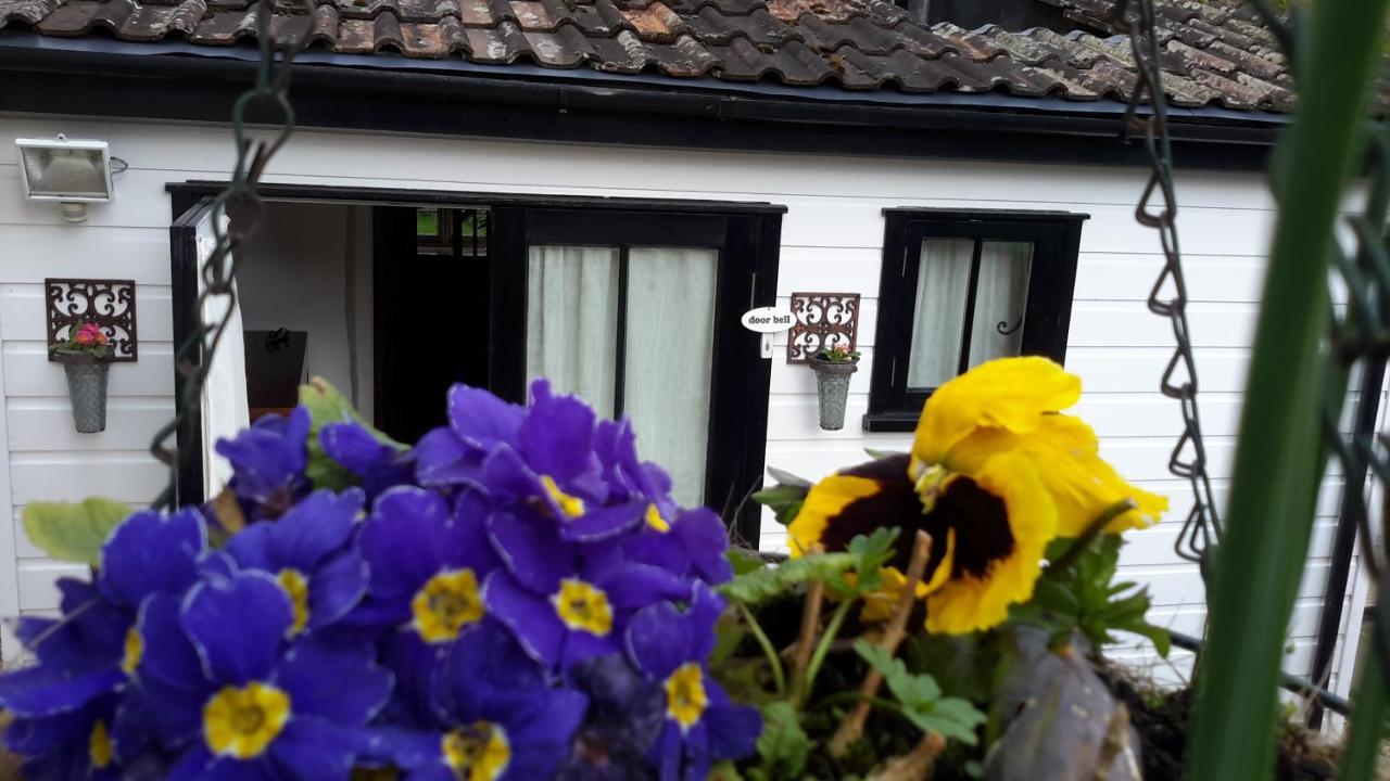 Rose Farm Bed & Breakfast Honiton Eksteriør bilde