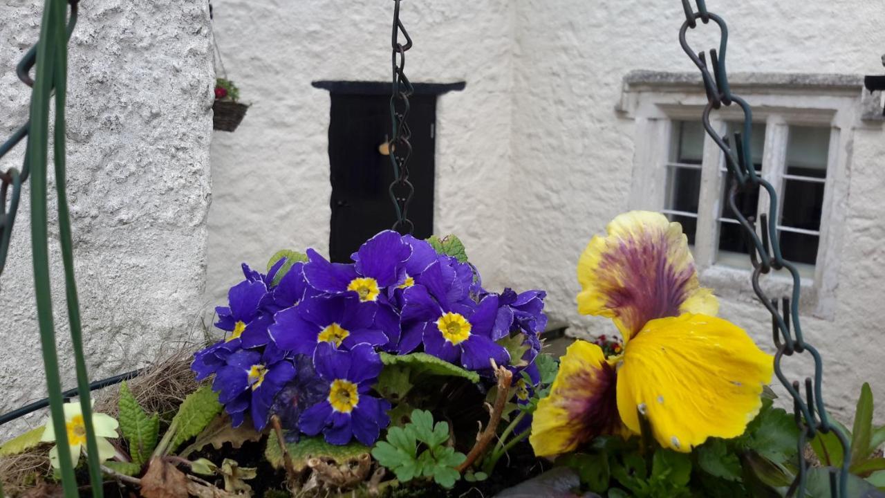 Rose Farm Bed & Breakfast Honiton Eksteriør bilde