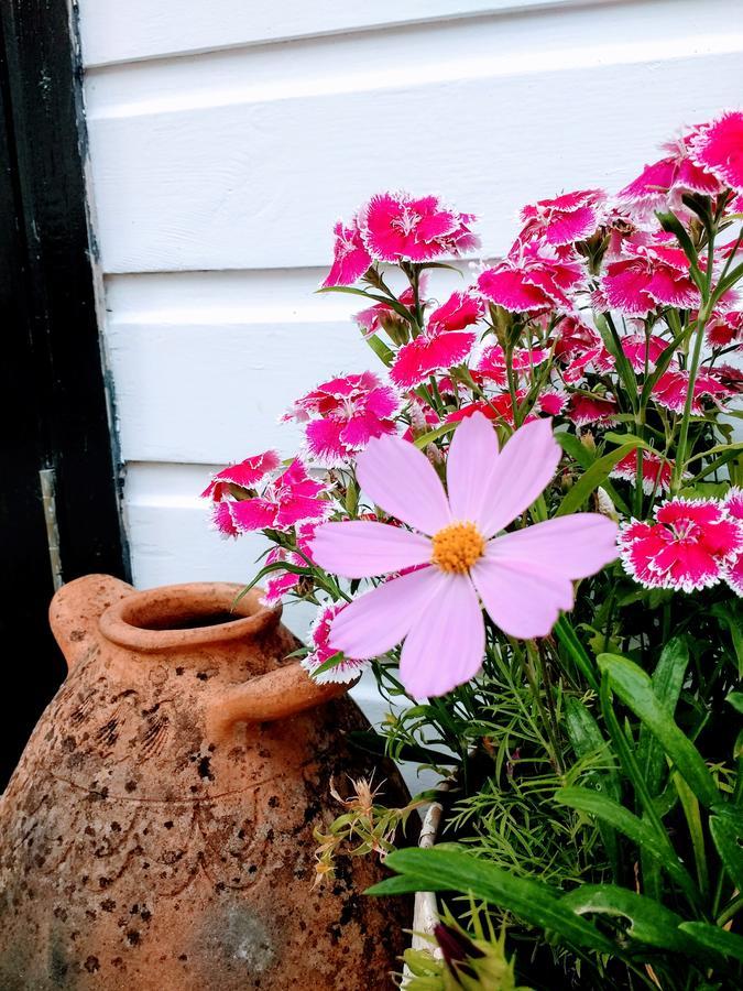 Rose Farm Bed & Breakfast Honiton Eksteriør bilde