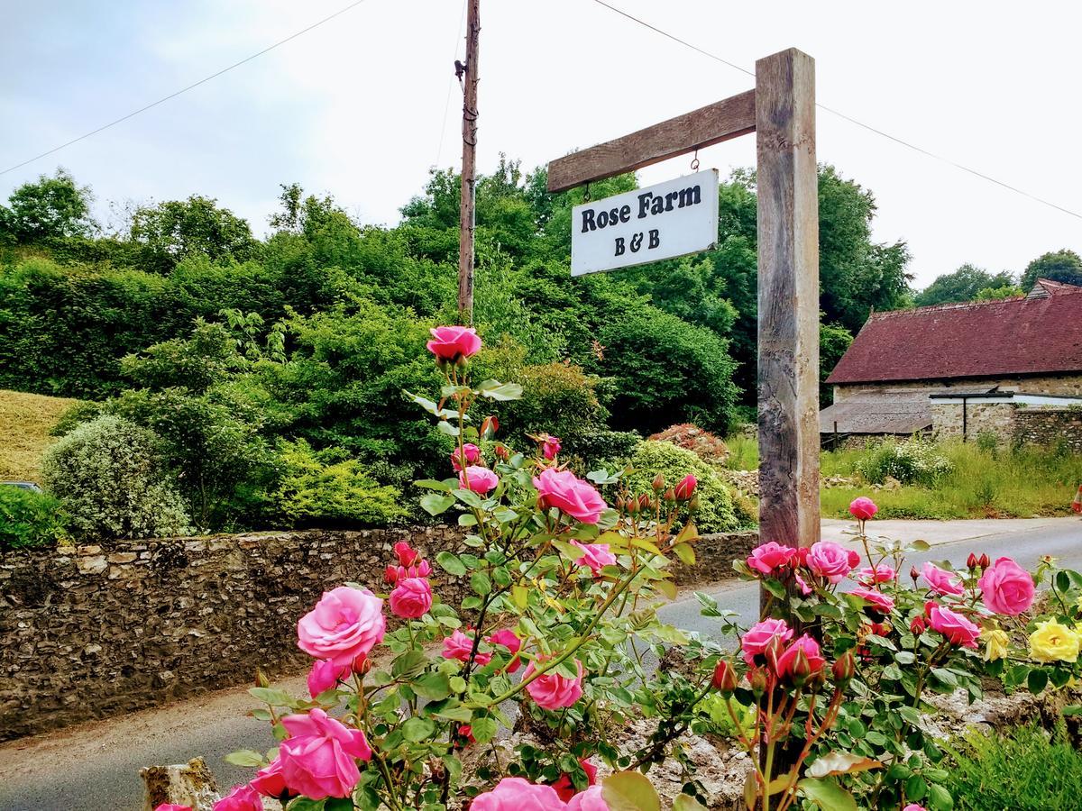 Rose Farm Bed & Breakfast Honiton Eksteriør bilde
